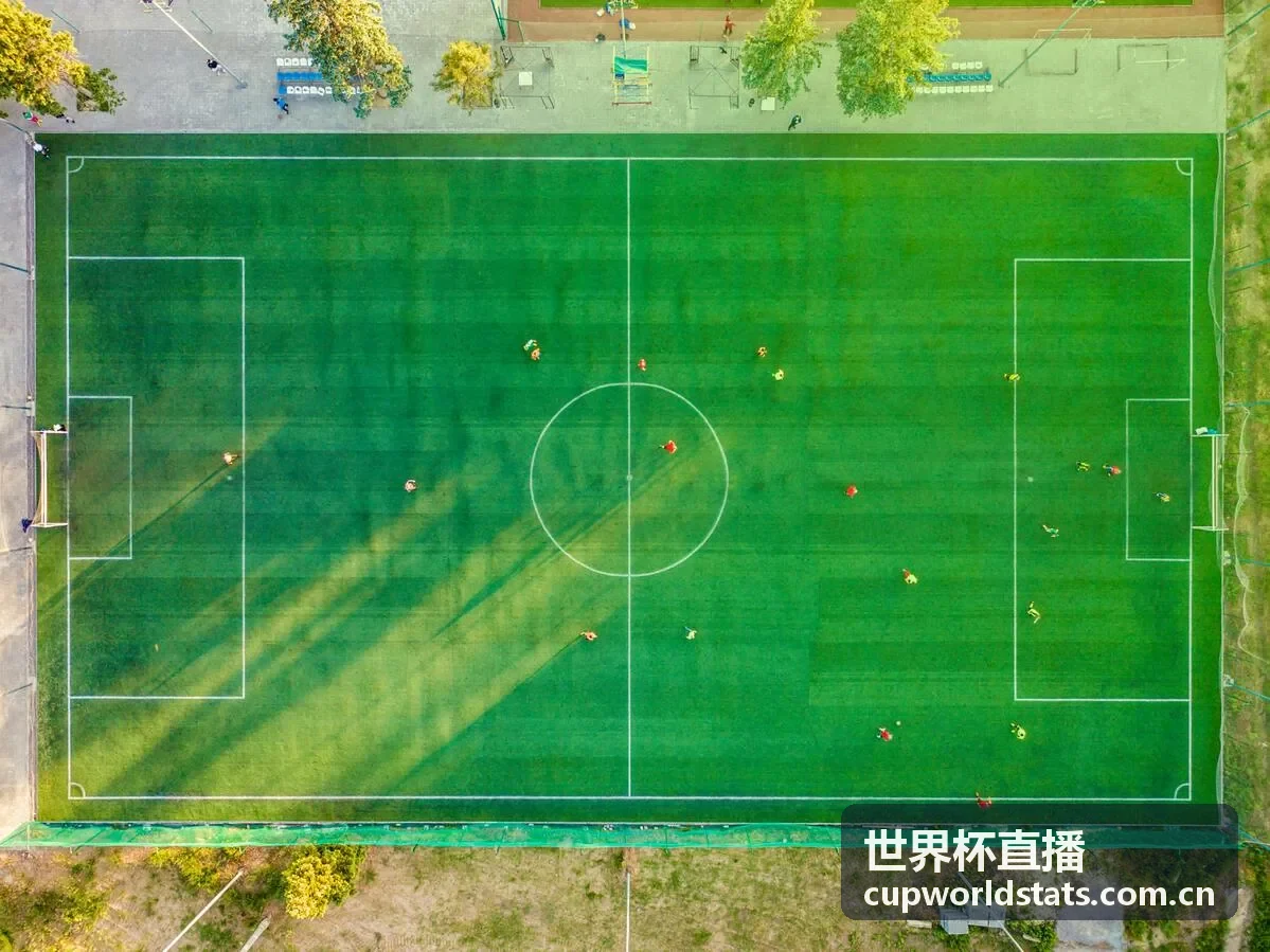 世界杯直播 - 巴西国家队